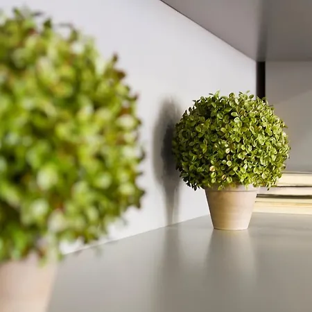 Santo Spirito Flat Floransa